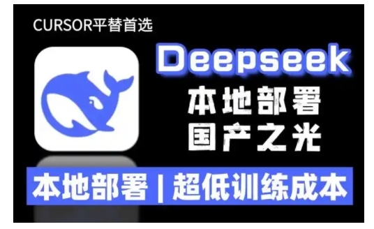 2025年deepseek R1 大型模型当地部署应用(文档 实例教程)本地部署，极低练习成本费-中创网_分享创业项目_互联网资源