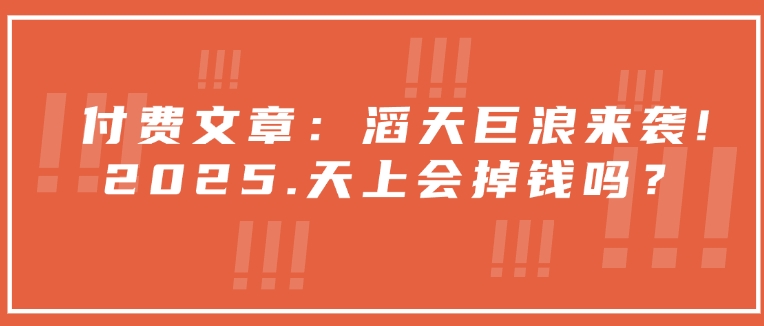 付费文章：狂风巨浪来临！2025天空就掉了钱吗？-中创网_分享创业项目_互联网资源