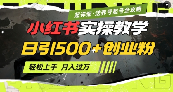 2月小红书最新日引500+创业粉实操教学【超详细】小白轻松上手，月入1W+，附小红书养号起号SOP-中创网_分享创业项目_互联网资源