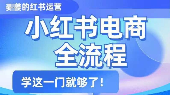 小红书电商全过程，精减通俗易懂，实用教程，学这一门就行了-中创网_分享创业项目_互联网资源