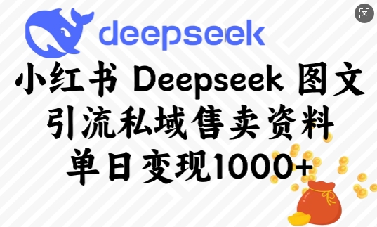 小红书的Deepseek图文并茂引流方法公域出售材料，单日转现好几张-中创网_分享创业项目_互联网资源