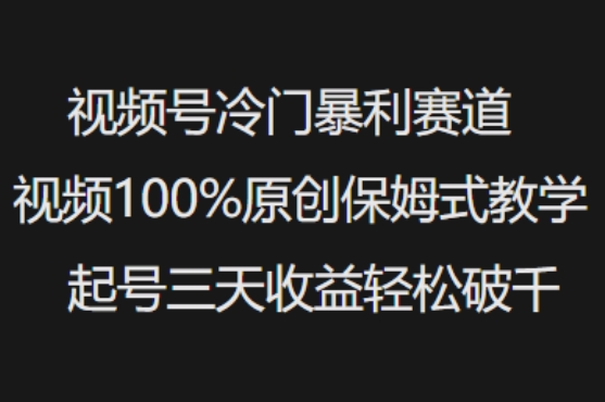 微信视频号小众爆利跑道短视频100%原创设计跟踪服务课堂教学养号三天盈利轻轻松松破千-中创网_分享创业项目_互联网资源