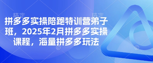 拼多多平台实际操作陪跑夏令营弟子班，2025年2月拼多多平台实操课程，大量拼多多平台游戏玩法-中创网_分享创业项目_互联网资源