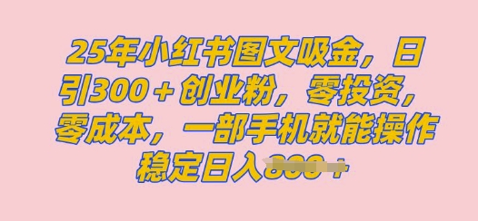 2025年小红书的自主创业粉图文并茂自然实例教程，日 300自主创业粉，单日转现好几张，没脑子实际操作，宝妈妈，新手赶紧冲-中创网_分享创业项目_互联网资源