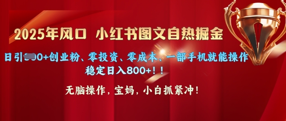 25年出风口小红书的图文并茂掘金队，日引300 自主创业粉、零投资、零成本、一部手机就能实际操作-中创网_分享创业项目_互联网资源