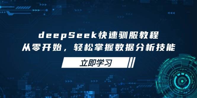 deepSeek迅速收服实例教程，从零开始，快速掌握数据分析技能-中创网_专注互联网创业,项目资源整合-中创网_分享创业项目_互联网资源