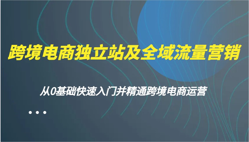 跨境电商电商独立站及全域流量营销推广，从0根本快速上手并熟练跨境电商运营-中创网_分享创业项目_互联网资源