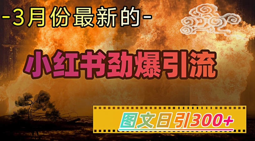 小红书的超劲爆引流方法方式，图文并茂日引300 轻轻松松转现1W-中创网_分享创业项目_互联网资源