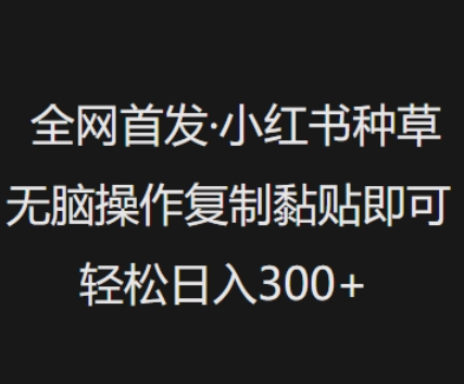 独家首发，小红书种草没脑子实际操作，拷贝粘贴就可以，轻轻松松日入3张-中创网_分享创业项目_互联网资源